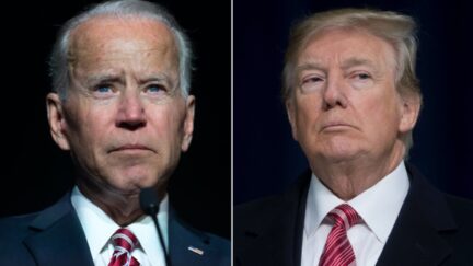 Joe Biden, Donald Trump